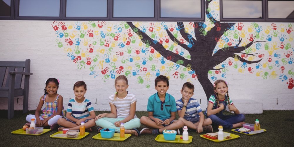 Focus: The school food fit