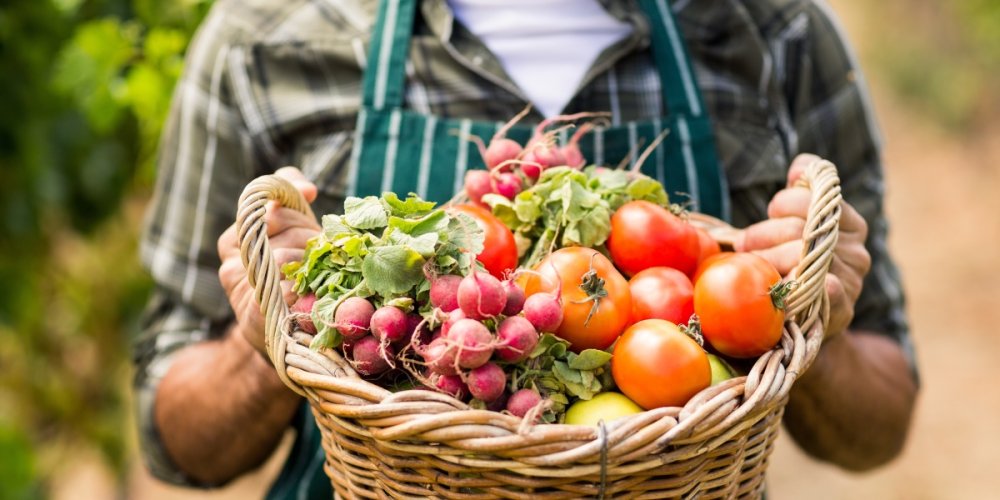 Industry urged to support British Food Fortnight