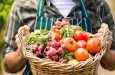 British Food Fortnight urges industry to Make the Switch