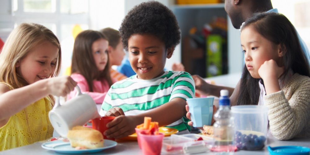 Food Foundation calls for urgent school food review